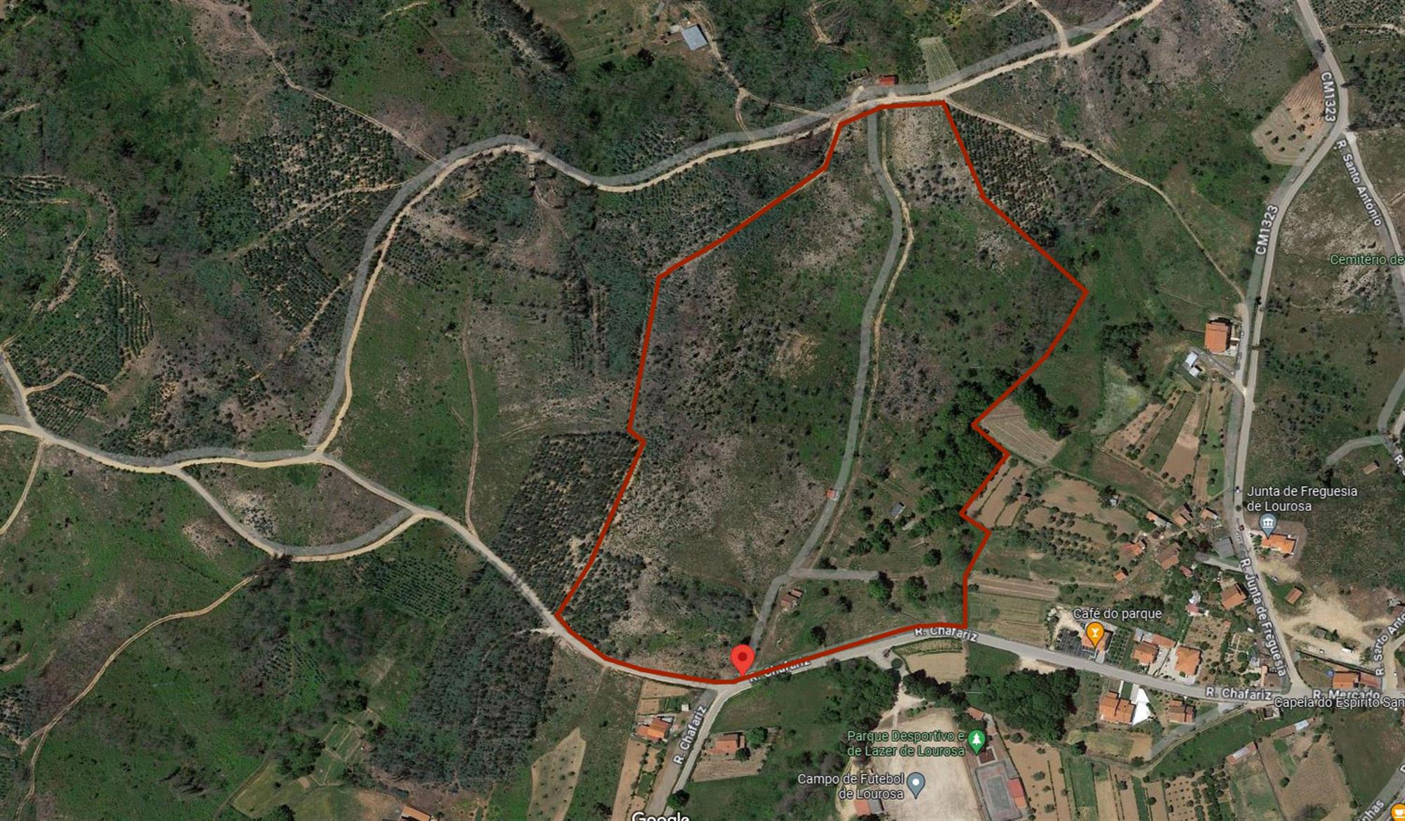 PORTUGAL - 18 ACRES OF LAND IDEAL FOR A HOLIDAY PARK, HOTEL OR SPORTS ACADEMY