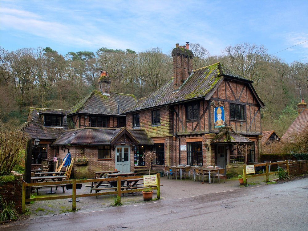 SURREY - UNIQUE FREE-OF-TIE PUB