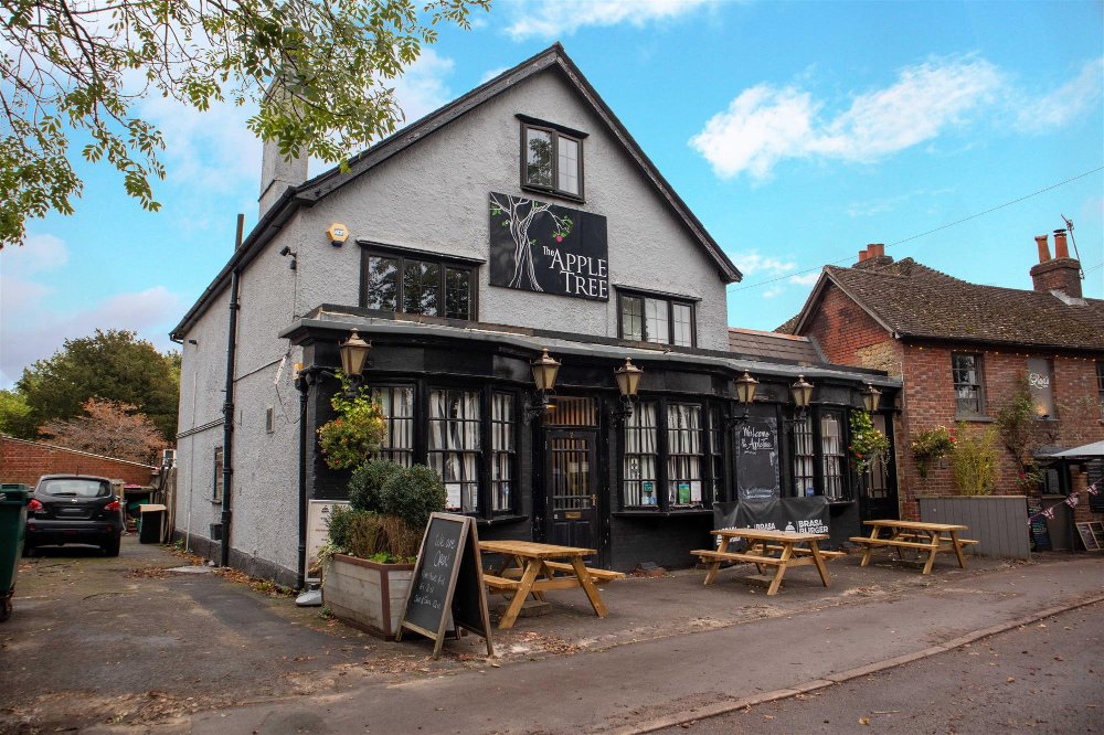 SURREY - PUB IN AFFLUENT HASLEMERE