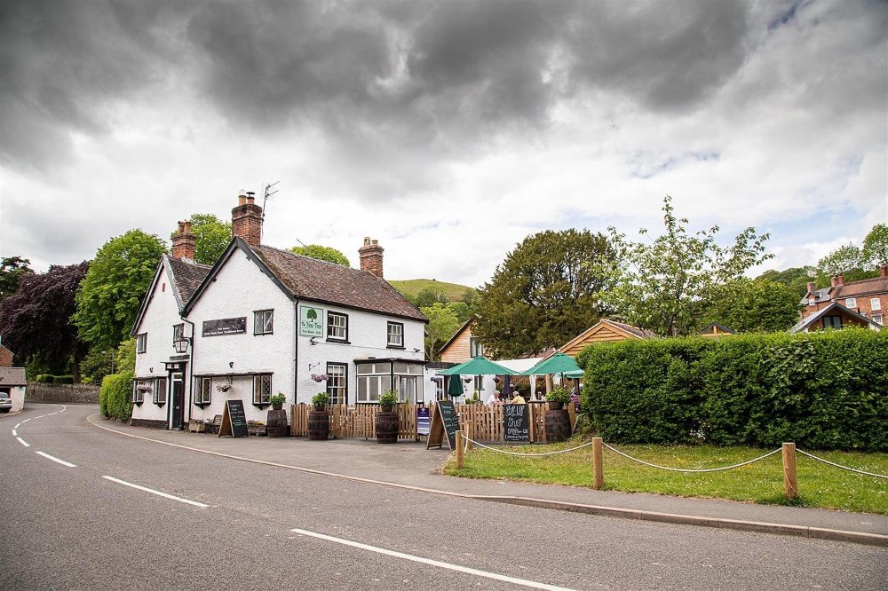 SHROPSHIRE HILLS - HIGH TRADING INN WITH FOUR EN SUITE LETTING BEDROOMS